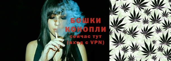 2c-b Богородицк