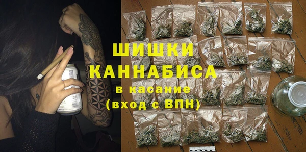 твердый Богородск