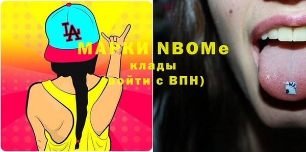 2c-b Бородино
