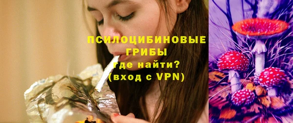 2c-b Богородицк