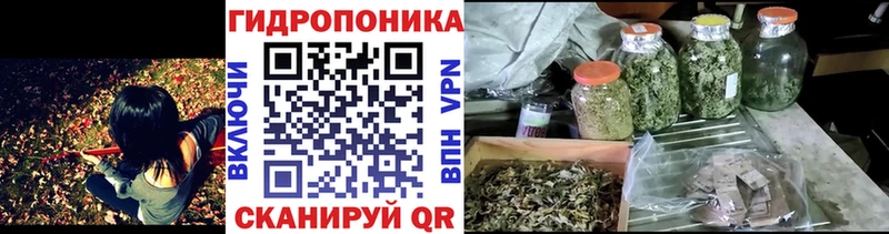 наркота  Горно-Алтайск  Шишки марихуана план 